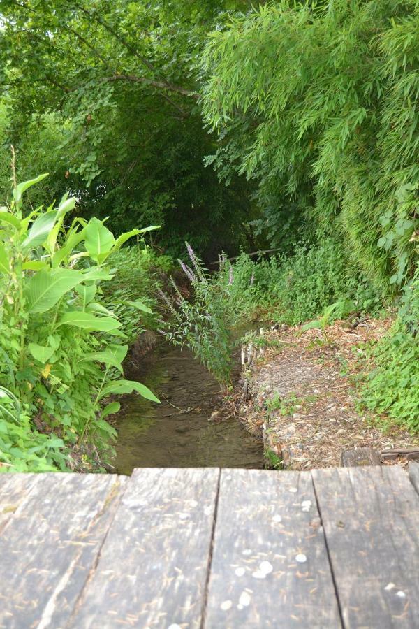 Manoir Le Bourg, Touffaillesヴィラ エクステリア 写真